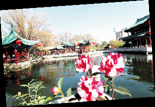 http://daily.clzg.cn/res/1/20160817/23381471452217103.jpg