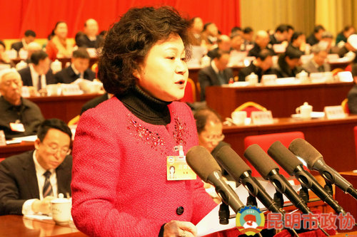 朱燕副主席做提案工作报告.JPG