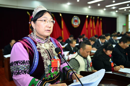 者培仙主席代表政协石林县第十届委员会常务委员会作工作报告.JPG