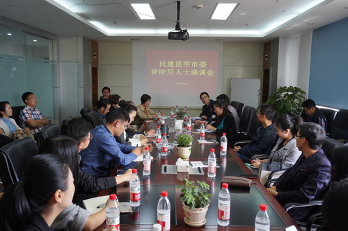 民建昆明市委召开新的社会阶层人士代表座谈会