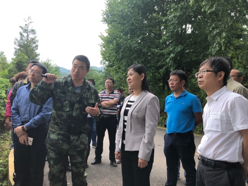 熊瑞丽主席率队巡查新运粮河1