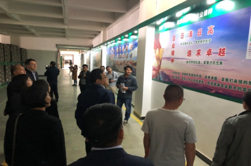 图片6