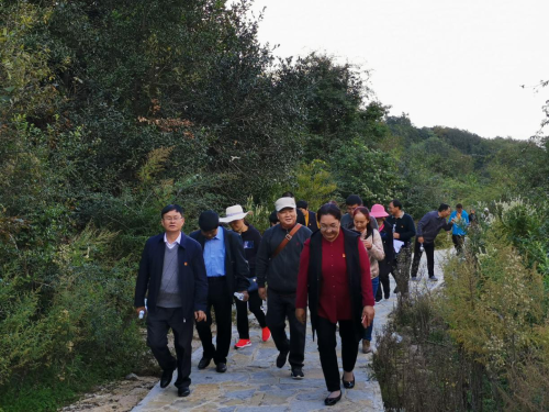 重走游击小道