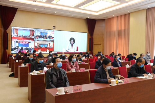 图片3