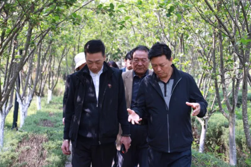 微信图片_20200415165429