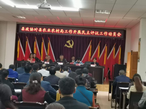 图片6