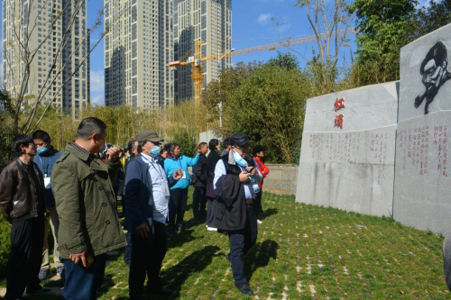 图片10