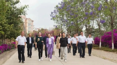 图片4