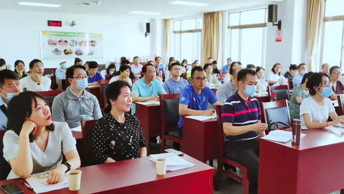 图片8