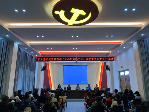 图片5