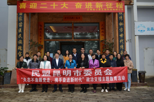 图片8