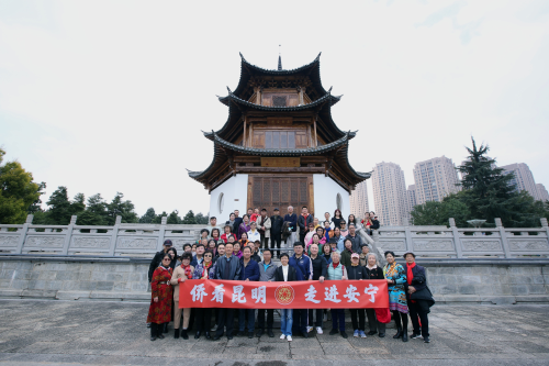 图片3