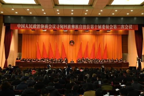 图片1