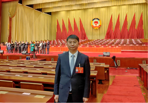 图片3