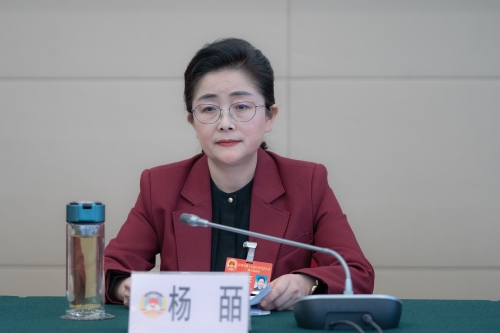 杨皕