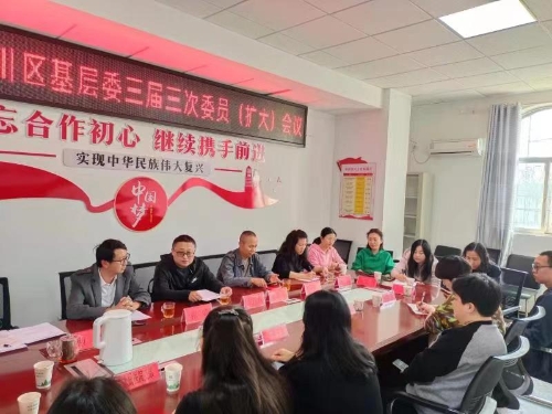 东川区基层委召开第三届三次委员（扩大）会