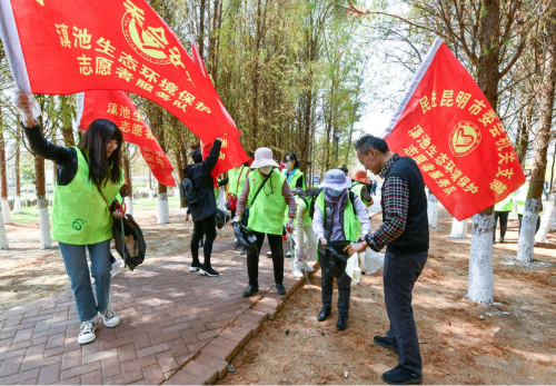 图片8