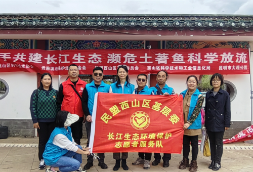 图片4