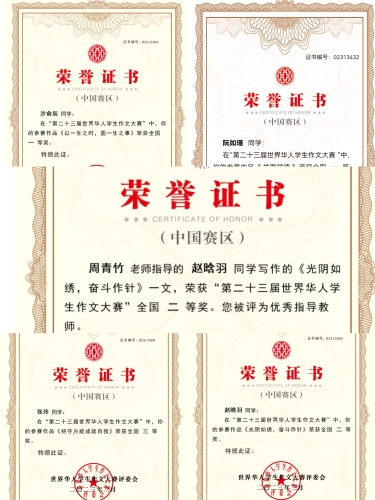 图片2