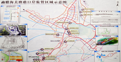图片4