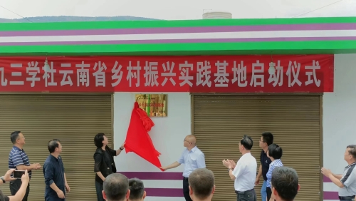 揭牌