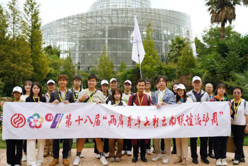 图片8