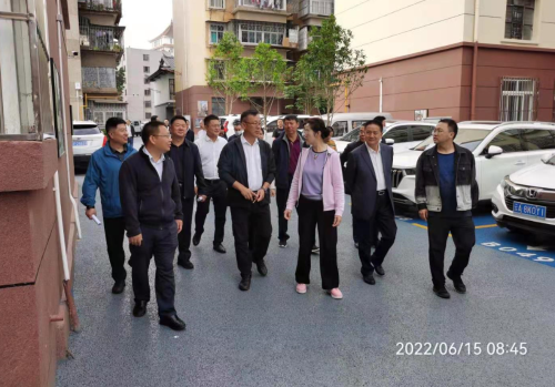 图片6