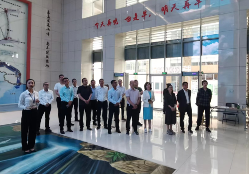 图片9