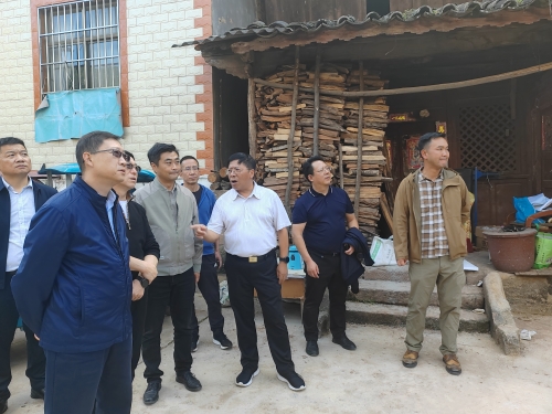 2.图为调研组在东村社区进行实地调研。