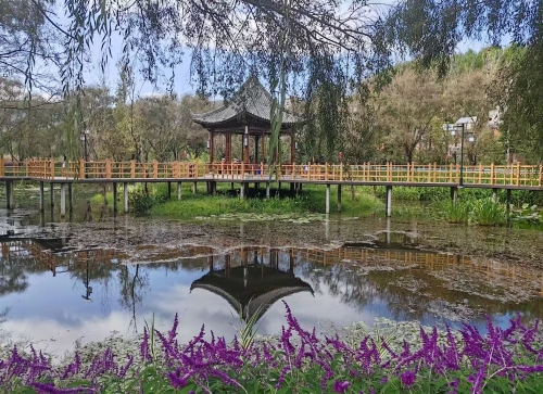 5.图为美丽的嵩阳街道东村社区风光
