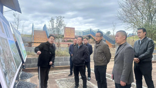 图片1
