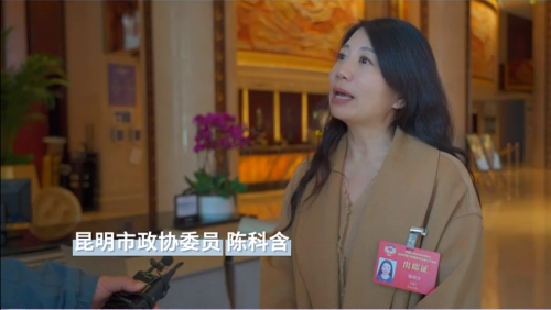 陈科含