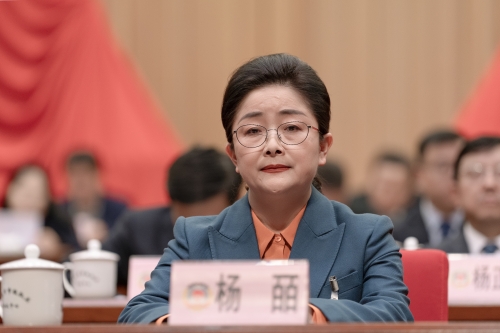 杨皕1