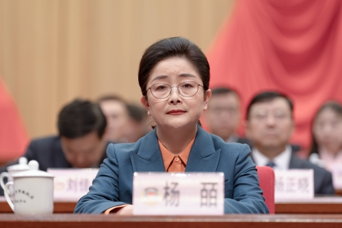 杨皕2