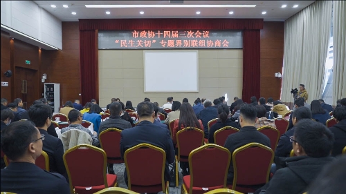 市政协十四届三次会议“民生关切”专题界别联组协商会1