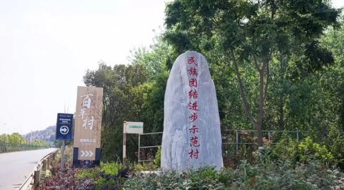 图片6
