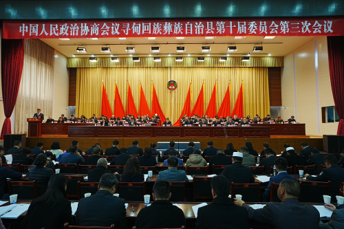 图片1