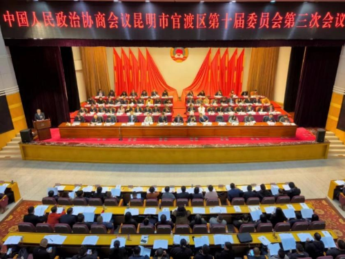 图片1