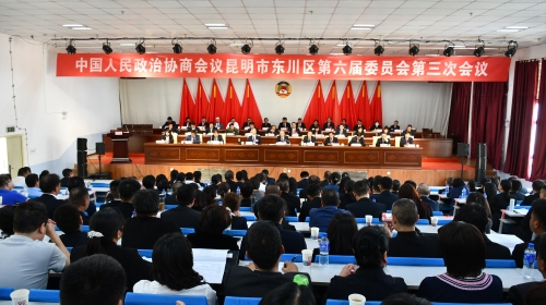 东川政协会全景