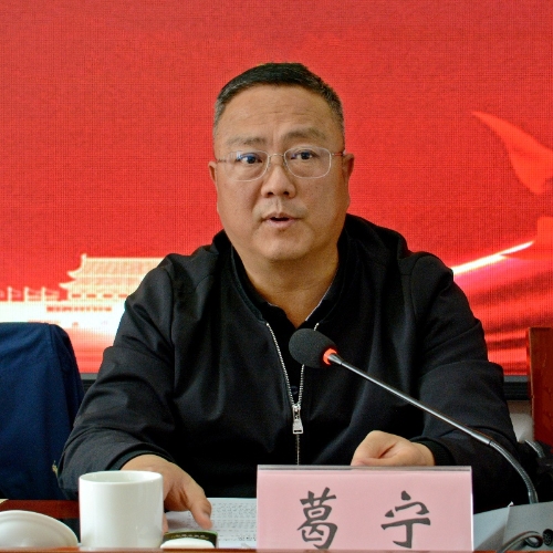 葛宁讲话