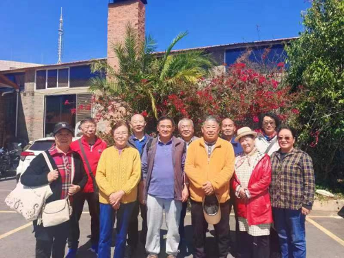 图片1