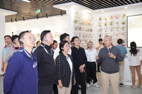 斗南花市