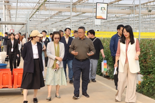调研议政沙龙1
