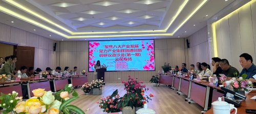 调研议政沙龙2
