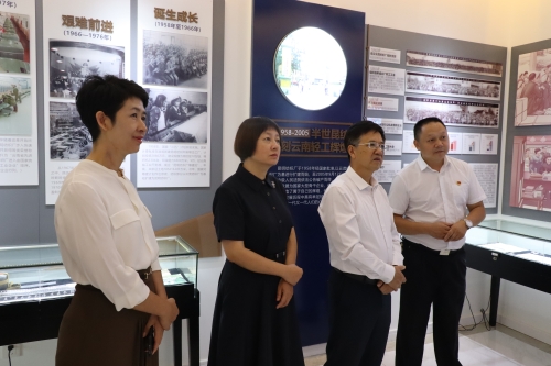 民建中央主题教育调研指导组赴昆调研指导