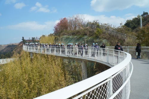 DSC04714.JPG