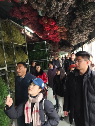 微信图片_20250307162139